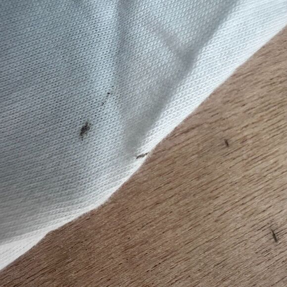 Disney 100 Tinker Bell Disneyland White Tee Shirt Women’s 3X Graphic Oversized - Picture 5 of 7